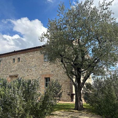 Bed and Breakfast Borgo Cardaneto Montone  Exterior foto