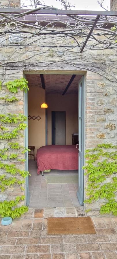 Bed and Breakfast Borgo Cardaneto Montone  Exterior foto