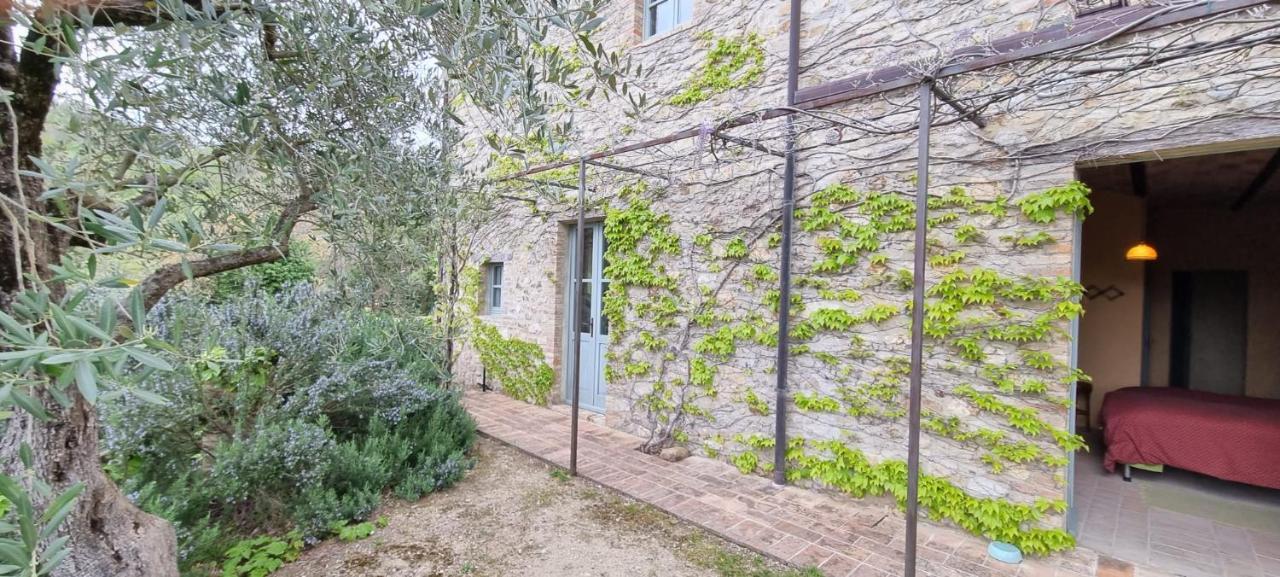 Bed and Breakfast Borgo Cardaneto Montone  Exterior foto