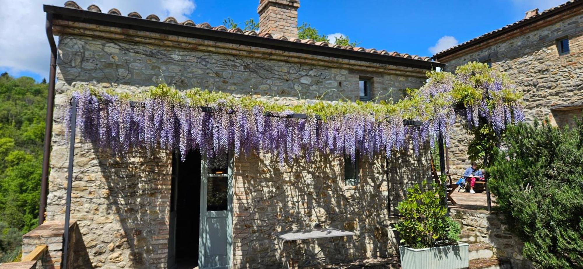 Bed and Breakfast Borgo Cardaneto Montone  Exterior foto